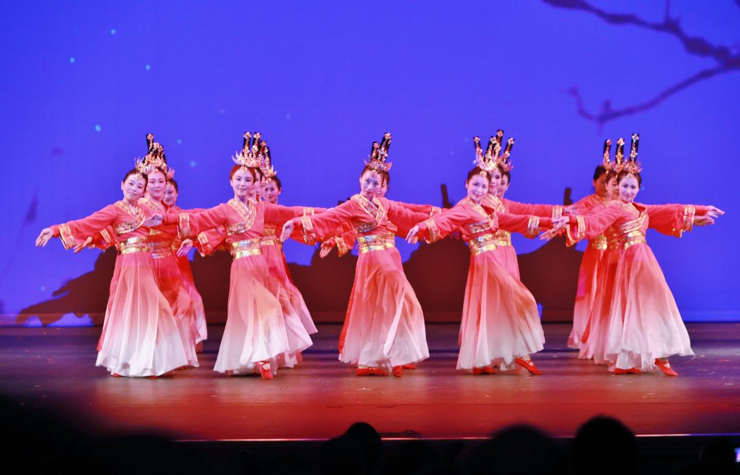 Performers at the SDCAA 2017 National Day celebration